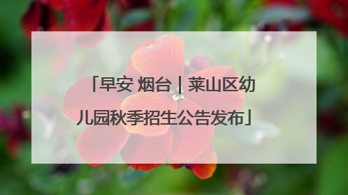 早安 烟台｜莱山区幼儿园秋季招生公告发布