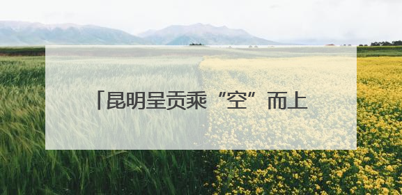 昆明呈贡乘“空”而上 逐梦低空经济新蓝海
