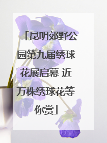 昆明郊野公园第九届绣球花展启幕 近万株绣球花等你赏