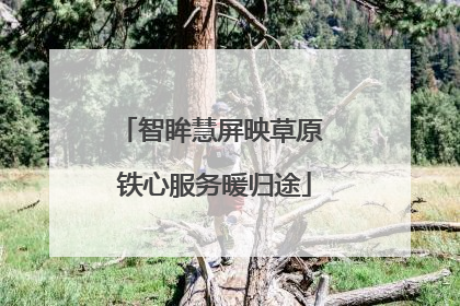 智眸慧屏映草原 铁心服务暖归途