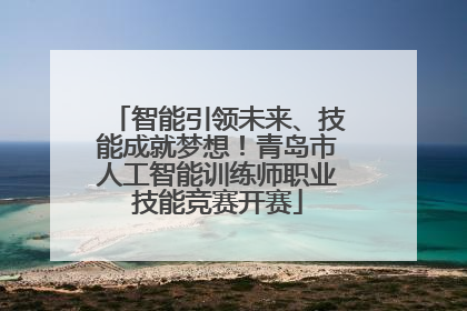 智能引领未来、技能成就梦想！青岛市人工智能训练师职业技能竞赛开赛