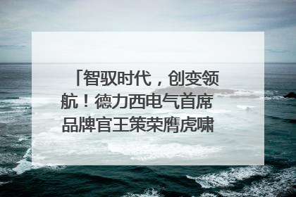 智驭时代，创变领航！德力西电气首席品牌官王策荣膺虎啸奖年度品牌人物