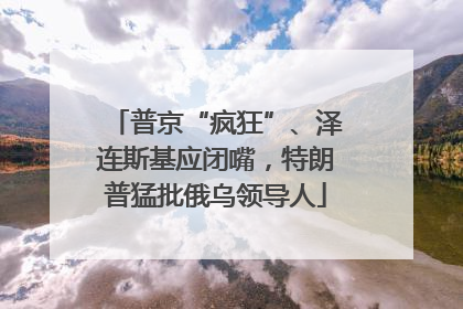 普京“疯狂”、泽连斯基应闭嘴，特朗普猛批俄乌领导人