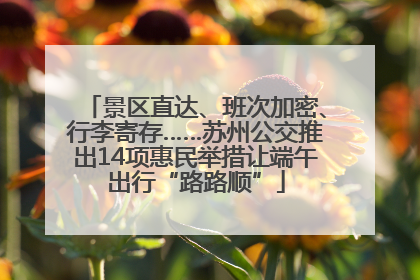 景区直达、班次加密、行李寄存……苏州公交推出14项惠民举措让端午出行“路路顺”