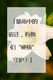 暴雨中的宿迁，有他们“硬核”守护！