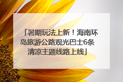 暑期玩法上新！海南环岛旅游公路观光巴士6条清凉主题线路上线