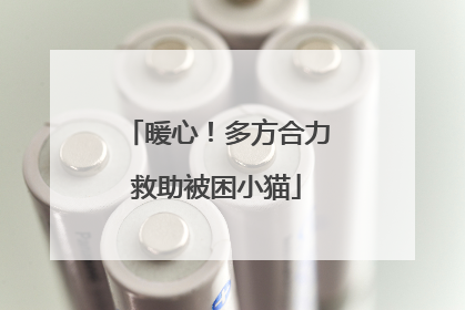 暖心！多方合力救助被困小猫