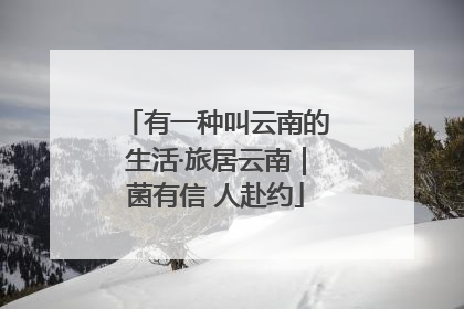 有一种叫云南的生活·旅居云南｜菌有信 人赴约