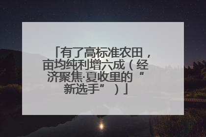 有了高标准农田，亩均纯利增六成（经济聚焦·夏收里的“新选手”）
