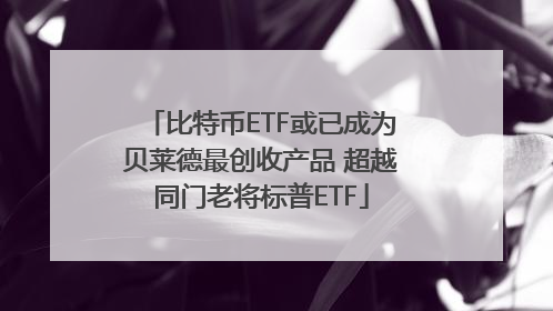 比特币ETF或已成为贝莱德最创收产品 超越同门老将标普ETF