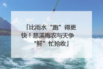 比雨水“跑”得更快！慈溪梅农与天争“鲜”忙抢收