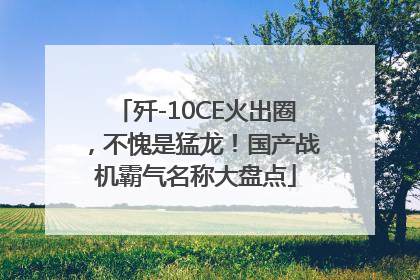 歼-10CE火出圈，不愧是猛龙！国产战机霸气名称大盘点