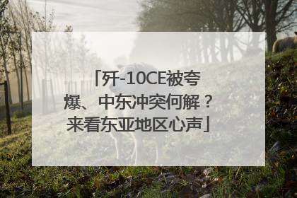 歼-10CE被夸爆、中东冲突何解？来看东亚地区心声