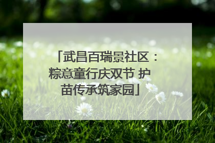 武昌百瑞景社区：粽意童行庆双节 护苗传承筑家园