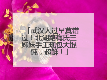 武汉人过早莫错过！北湖路梅氏三姊妹手工现包大馄饨，超鲜！