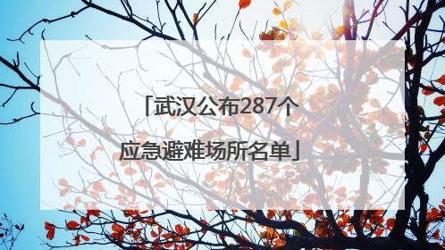 武汉公布287个应急避难场所名单