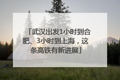 武汉出发1小时到合肥、3小时到上海，这条高铁有新进展
