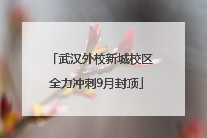 武汉外校新城校区全力冲刺9月封顶