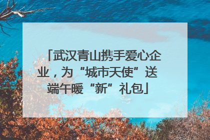 武汉青山携手爱心企业，为“城市天使”送端午暖“新”礼包