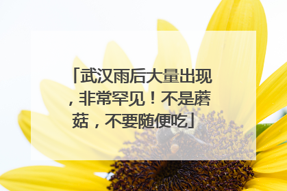 武汉雨后大量出现，非常罕见！不是蘑菇，不要随便吃