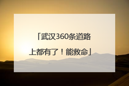 武汉360条道路上都有了！能救命