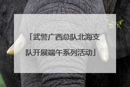 武警广西总队北海支队开展端午系列活动