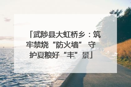 武陟县大虹桥乡：筑牢禁烧“防火墙” 守护夏粮好“丰”景