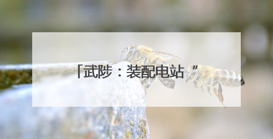 武陟：装配电站“跑步进场” 电动重卡“充电无忧”