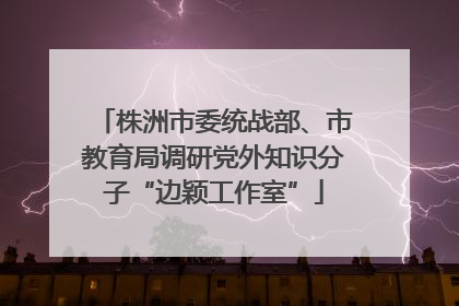 株洲市委统战部、市教育局调研党外知识分子“边颖工作室”