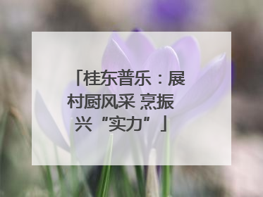 桂东普乐：展村厨风采 烹振兴“实力”