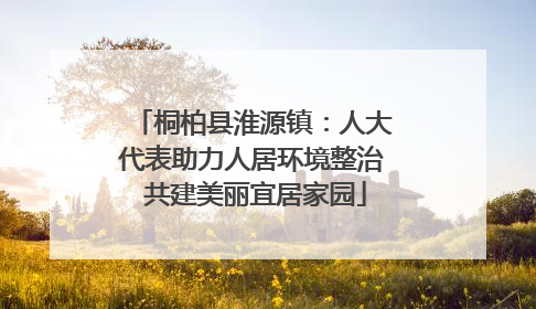 桐柏县淮源镇：人大代表助力人居环境整治 共建美丽宜居家园