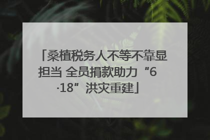 桑植税务人不等不靠显担当 全员捐款助力“6·18”洪灾重建