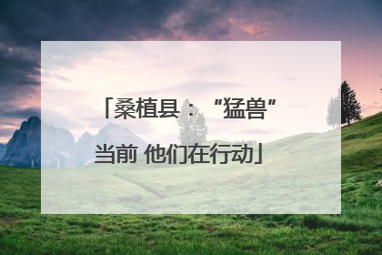 桑植县：“猛兽”当前 他们在行动