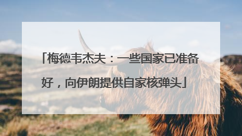 梅德韦杰夫：一些国家已准备好，向伊朗提供自家核弹头