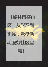 榆林市横山区：从学习到实践，党员活动服务社区居民
