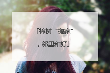 樟树“搬家”，邻里和好