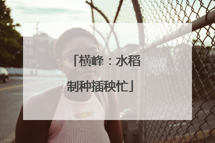 横峰：水稻制种插秧忙