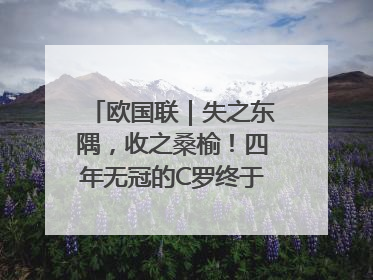 欧国联｜失之东隅，收之桑榆！四年无冠的C罗终于再次举起奖杯