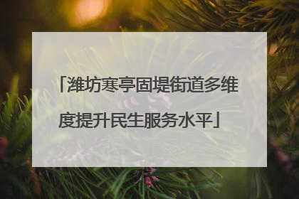 潍坊寒亭固堤街道多维度提升民生服务水平