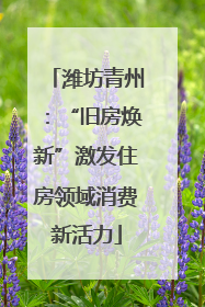 潍坊青州：“旧房焕新”激发住房领域消费新活力