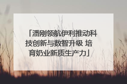 潘刚领航伊利推动科技创新与数智升级 培育奶业新质生产力