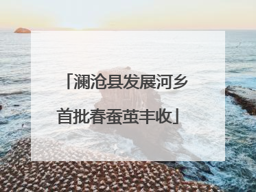 澜沧县发展河乡首批春蚕茧丰收