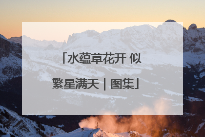 水蕴草花开 似繁星满天｜图集