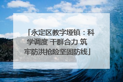 永定区教字垭镇：科学调度 干群合力 筑牢防洪抢险坚固防线