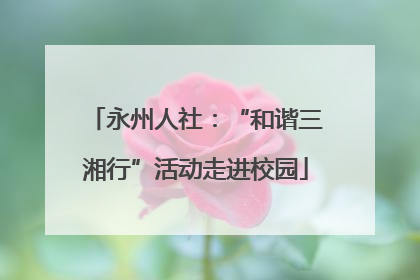 永州人社：“和谐三湘行”活动走进校园
