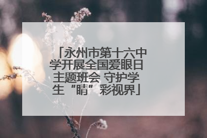 永州市第十六中学开展全国爱眼日主题班会 守护学生“睛”彩视界