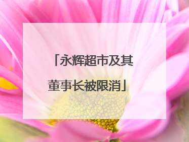 永辉超市及其董事长被限消