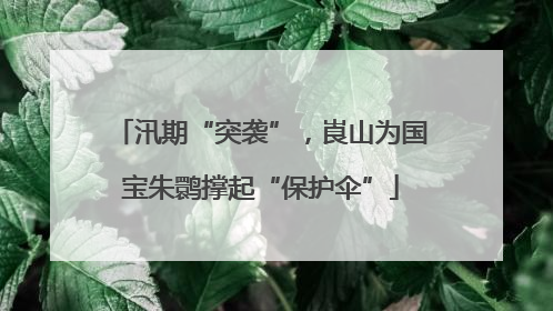 汛期“突袭”，崀山为国宝朱鹮撑起“保护伞”