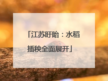 江苏盱眙：水稻插秧全面展开
