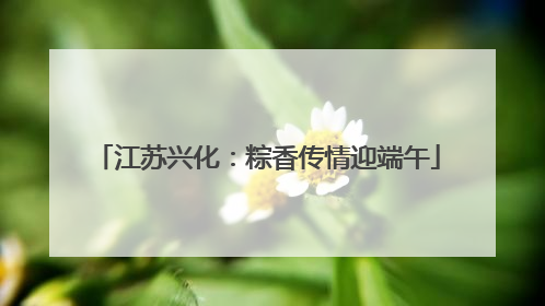 江苏兴化：粽香传情迎端午